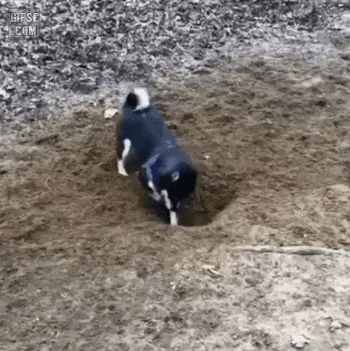 조국정국이 거의 끝나감 | 인스티즈