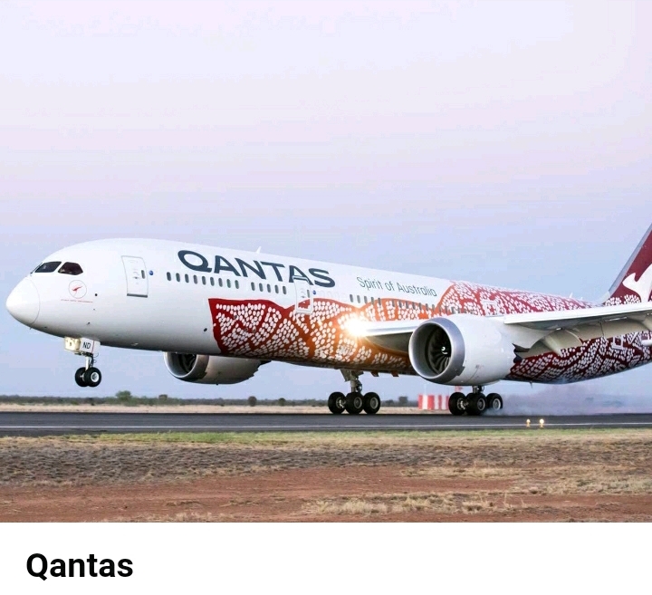 특이한 디자인을 가진 세계 항공사들 | 인스티즈