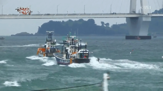 한국인의 밥상 갈치편 | 인스티즈