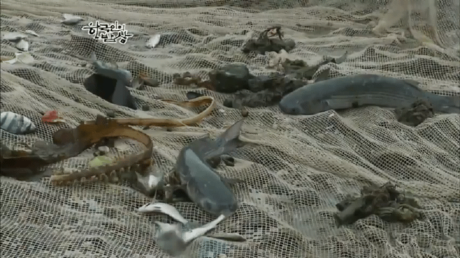 한국인의 밥상 여수 봄바다편 | 인스티즈