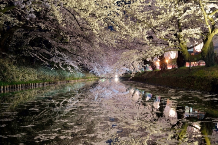 유튜브 창업자와 결혼한 한국여성.jpg | 인스티즈