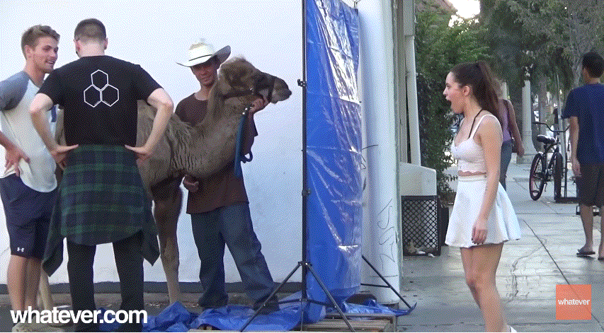 와~ 도끼자국 엄청 크다~ | 인스티즈