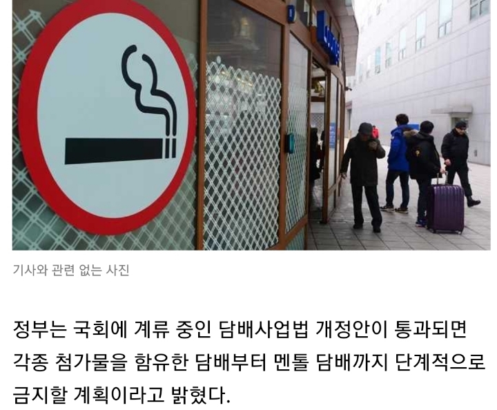 흡연자들 사이서 인기 많은 '멘솔담배'... 판매 금지된다 | 인스티즈