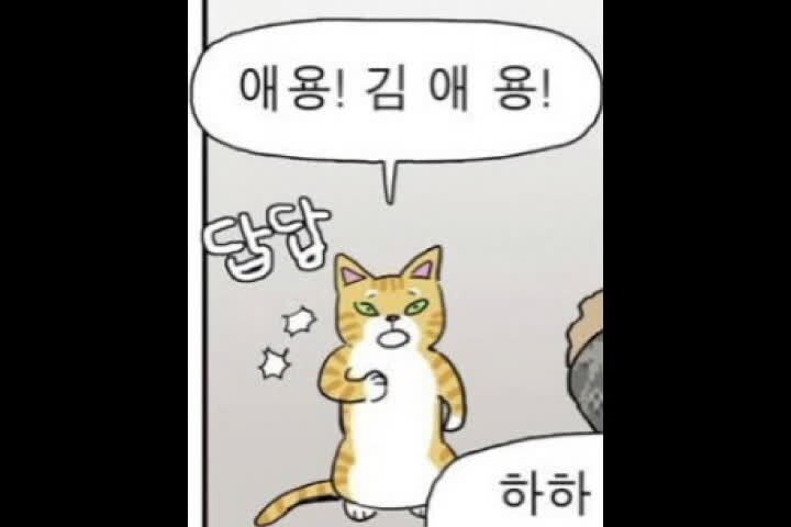 연세대 나온 bj 김애용.jpg | 인스티즈
