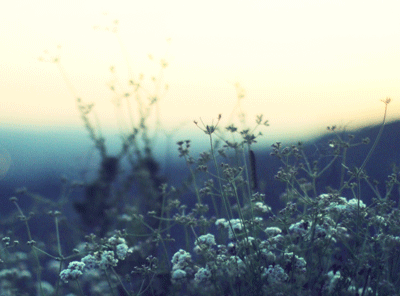 가난한 모자가정으로 내가 태어났을땐 카메라 같은게 없었다 | 인스티즈