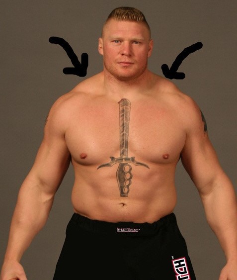 가장 멋지다고 생각하는 근육은? | 인스티즈