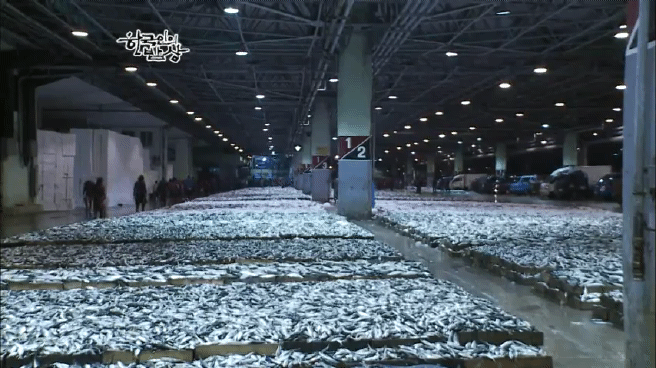 한국인의 밥상 고등어편 | 인스티즈