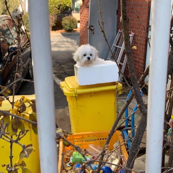 아...이건 좀...jpg | 인스티즈