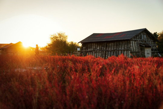 스압) 외국인이 촬영한 한국.jpg | 인스티즈