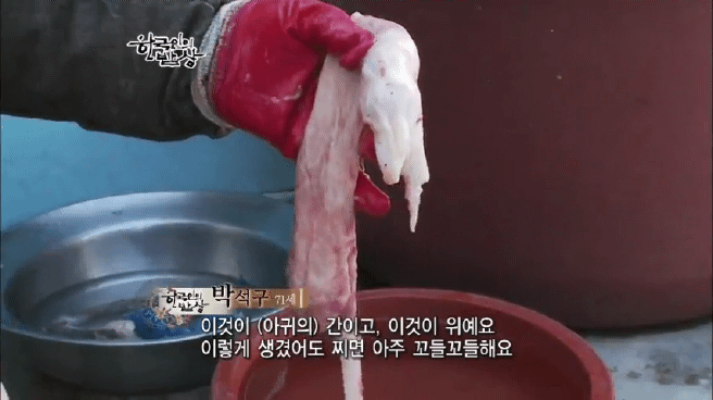 한국인의 밥상 아귀편 | 인스티즈