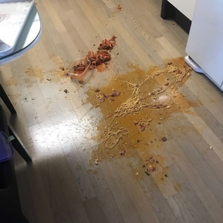 라면 대참사 모음.jpg | 인스티즈