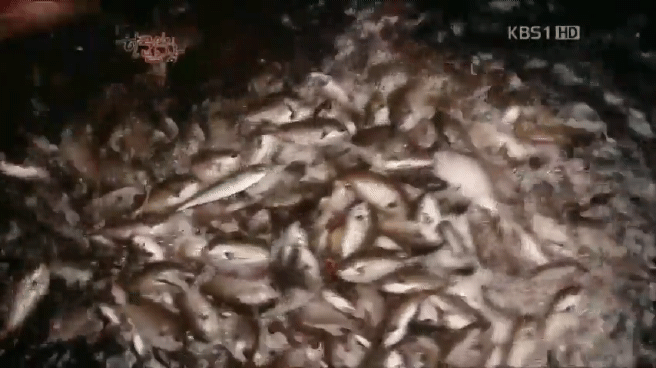 한국인의 밥상 제주 방어편 | 인스티즈