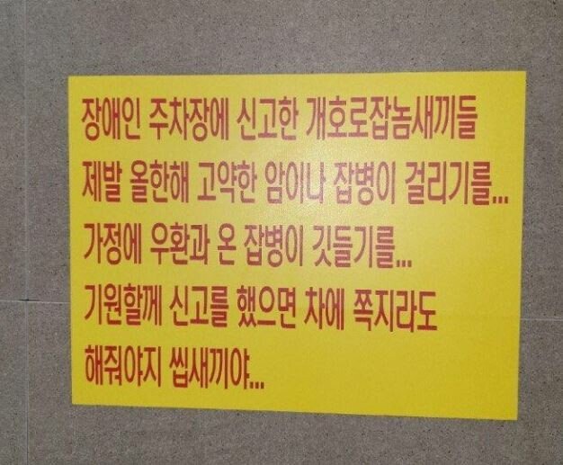 신고왜해 ㅅㄲ야 | 인스티즈