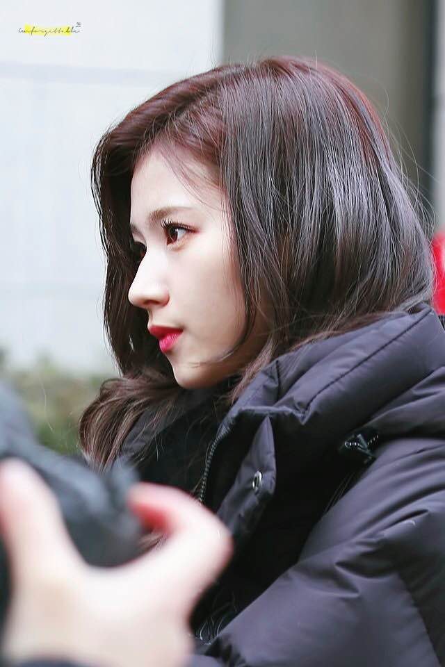 제지당하는 사나......gif | 인스티즈