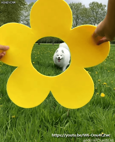 파스 제대로 잘 붙이기! | 인스티즈