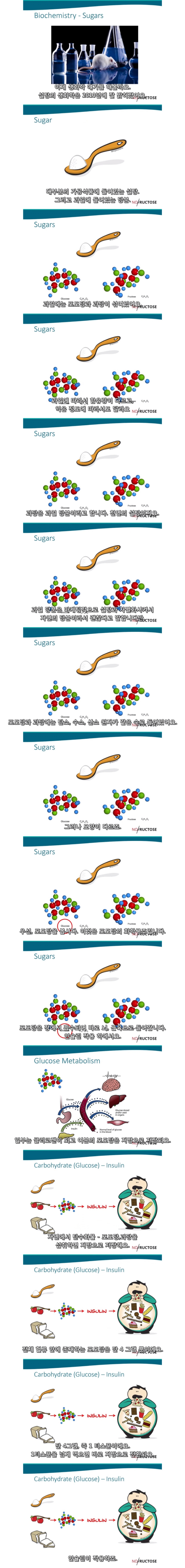 스압) 과일은 건강한 음식이 아니다.jpg | 인스티즈