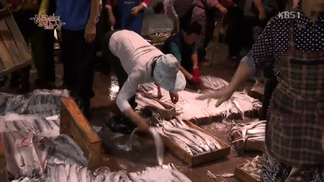 한국인의 밥상 갈치편 | 인스티즈