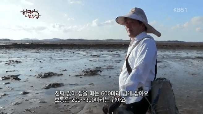 한국인의 밥상 무안 황토 갯벌 밥상편 | 인스티즈