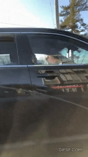 시비를거는데 기분이 나쁘지 않다 .gif | 인스티즈