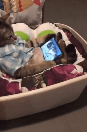 심각한 스마트폰 중독!! | 인스티즈