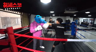 전직 조폭 vs 복싱 금메달리스트 스파링.GIF | 인스티즈