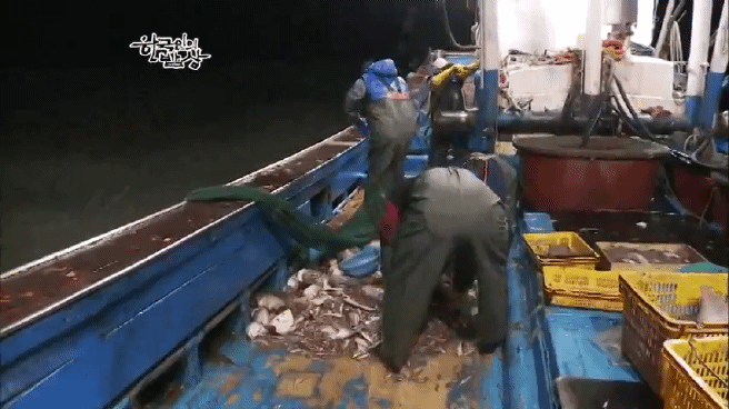 한국인의 밥상 아귀편 | 인스티즈