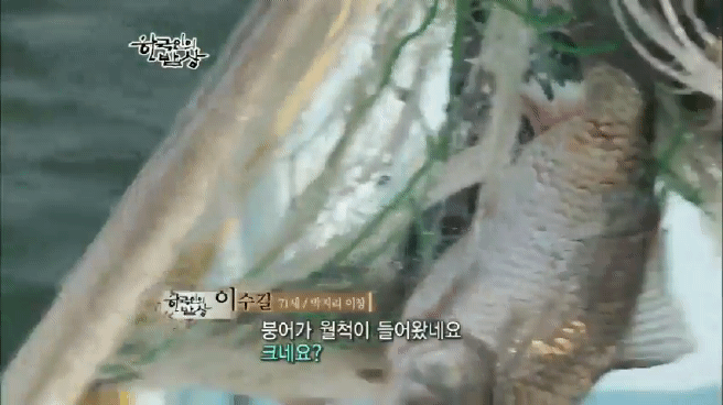 한국인의 밥상 옥천 민물고기 밥상편 | 인스티즈