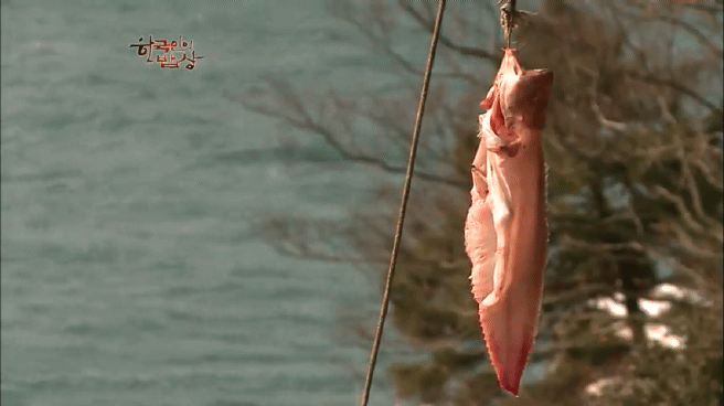 한국인의 밥상 물메기 밥상편 | 인스티즈