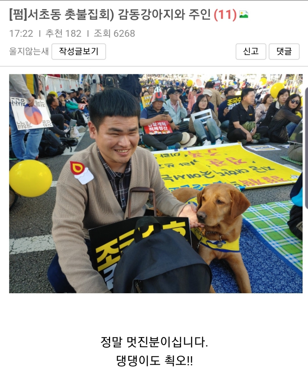 서초동 촛불집회 참석한 강아지와 주인 | 인스티즈