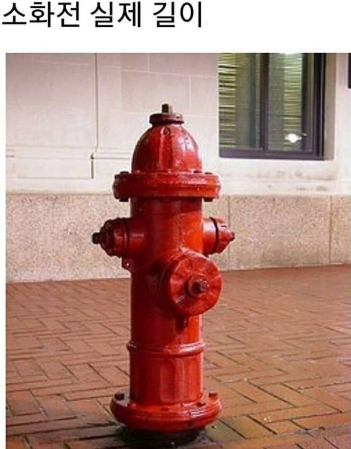 우라가 몰랐던 소화전의 진실.jpg | 인스티즈
