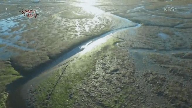 한국인의 밥상 무안 황토 갯벌 밥상편 | 인스티즈