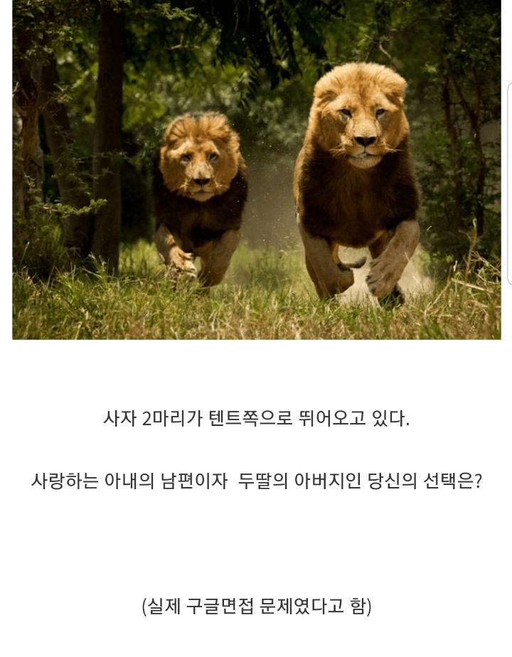 가족들과 아프리카 여행 중 큰 나무그늘 아래서 텐트를 치고 있는데...jpg | 인스티즈