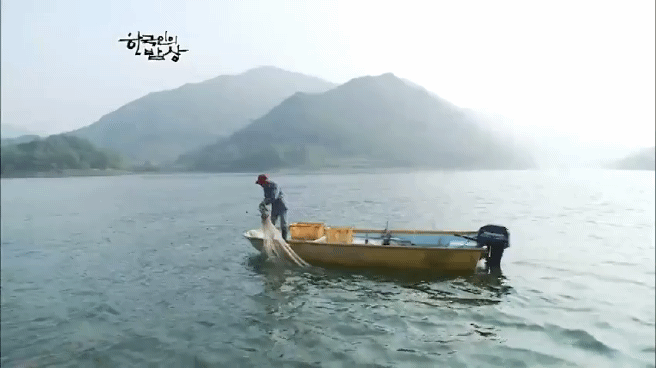 한국인의 밥상 옥천 민물고기 밥상편 | 인스티즈