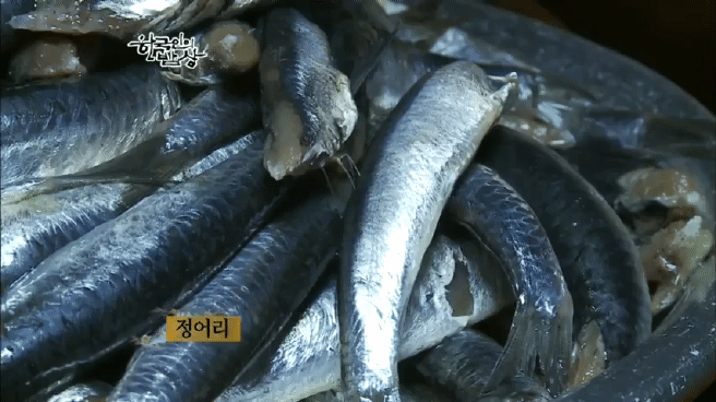 한국인의 밥상 여수 봄바다편 | 인스티즈