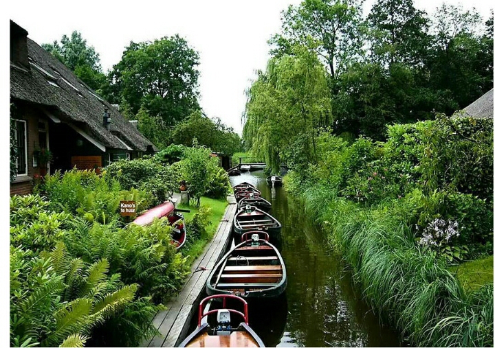 네덜란드의 차 없는 동네.jpg | 인스티즈