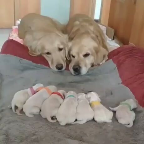 편안한 인절미 | 인스티즈