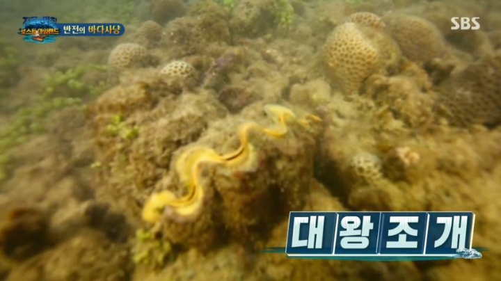 대왕조개잡는 이열음 | 인스티즈