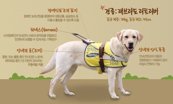 손님한테 꺼지라고 말한 음식점 사장님.pann | 인스티즈