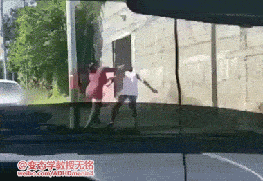 다음 중 싸움 1등은? | 인스티즈