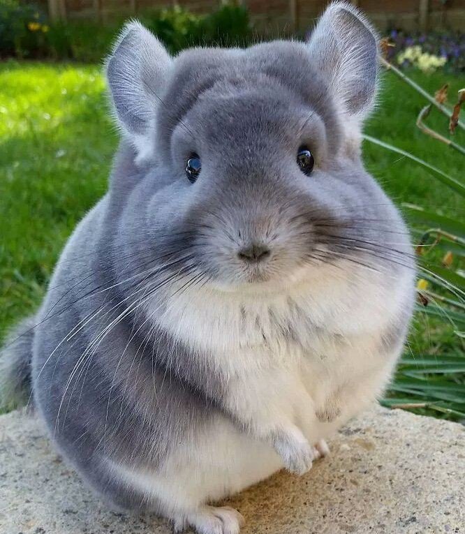 탐스러운 엉덩이 | 인스티즈