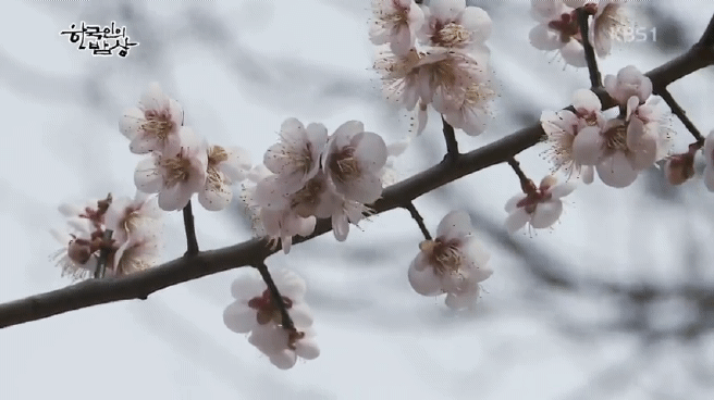 한국인의 밥상 섬진강편 | 인스티즈