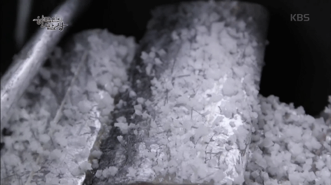 한국인의 밥상 어부 만찬 | 인스티즈