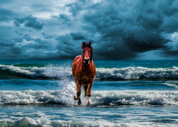 모모랜드 데이지 | 인스티즈