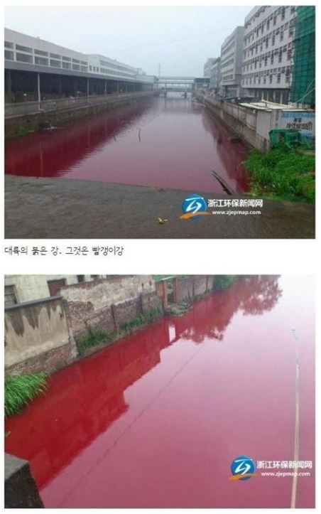 대륙의 강물을 알아보자.jpg | 인스티즈