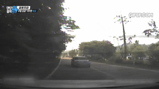 곡선 구간에서 추월하는 차량.gif | 인스티즈