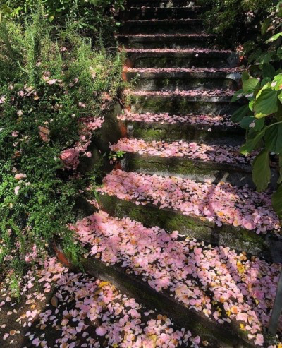 빗길 고속 운전이 자살 행위인 이유.jpg | 인스티즈