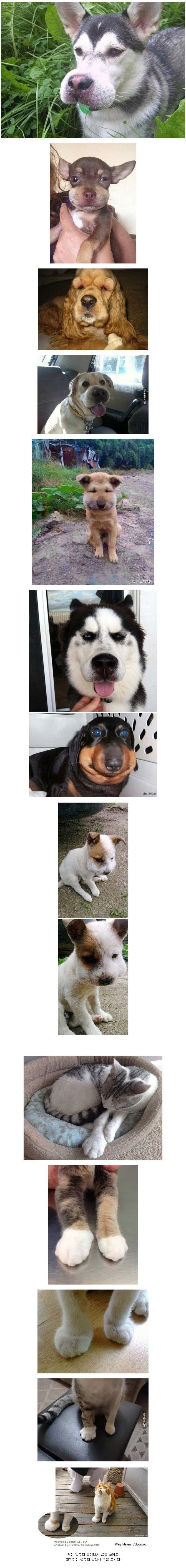 벌에 쏘인 아이들.jpg | 인스티즈