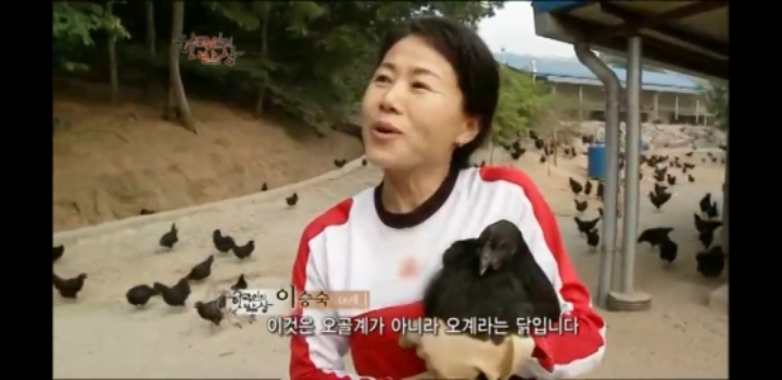 한국인의 밥상 삼계탕편 | 인스티즈