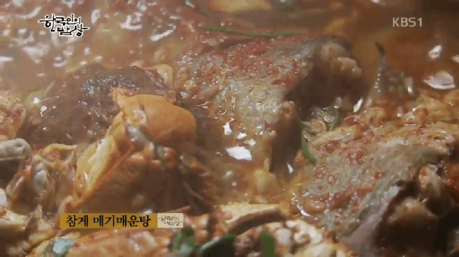 한국인의 밥상 섬진강편 | 인스티즈