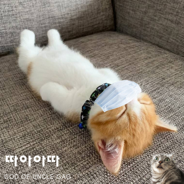 양념치킨 먹다가 안경 올릴 때 | 인스티즈